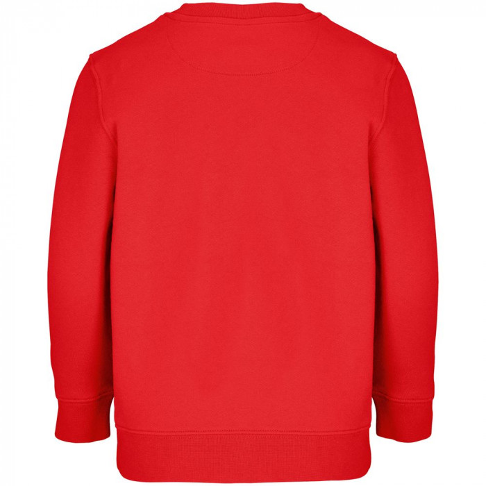 Свитшот детский Columbia Kids, красный, на рост 106-116