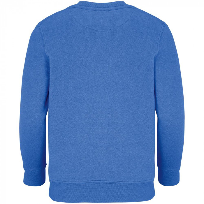 Свитшот детский Columbia Kids, ярко-синий (royal), на рост106-116