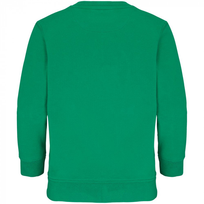 Свитшот детский Columbia Kids, ярко-зеленый, на рост 154-164