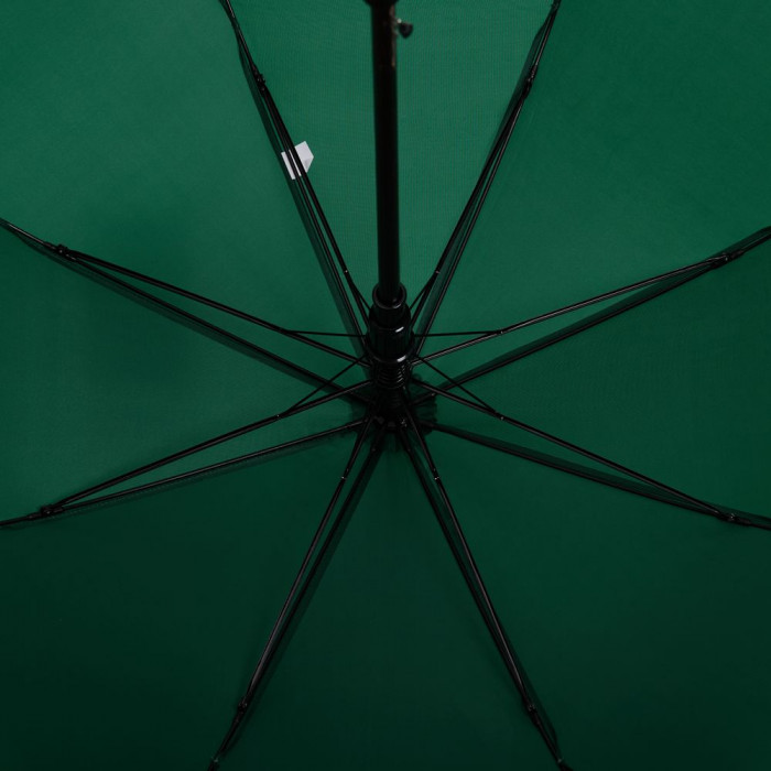 Зонт-трость Standard, зеленый