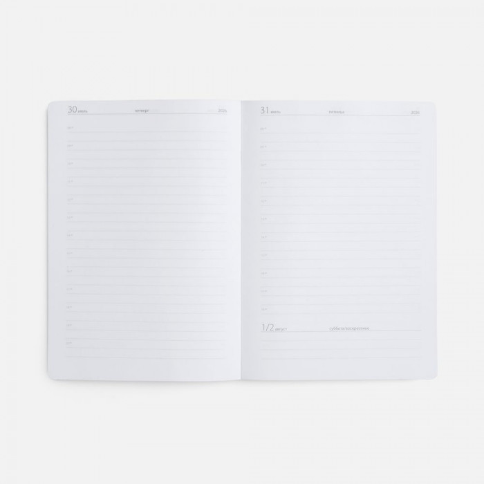 Ежедневник Must, датированный, синий