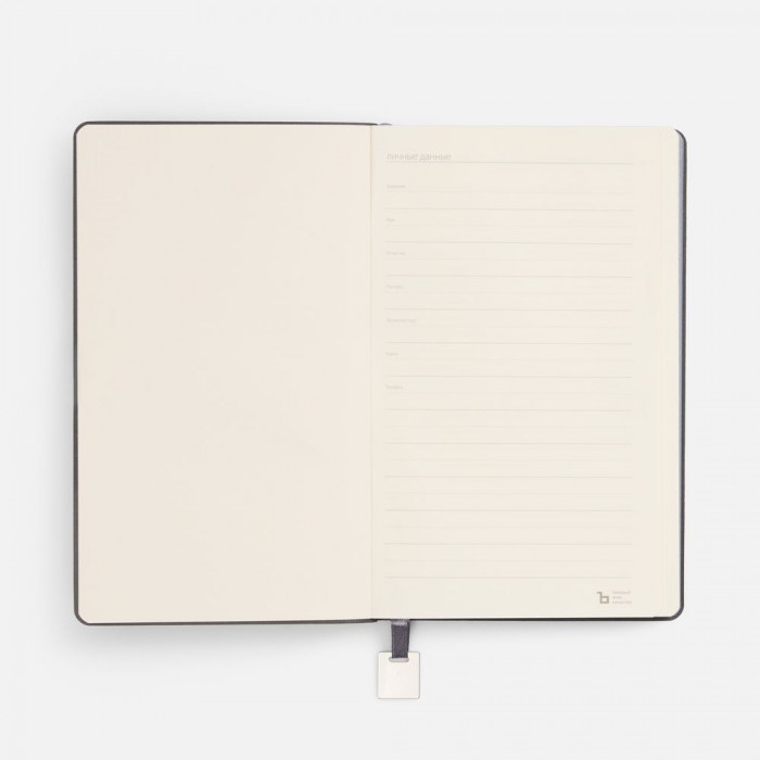 Ежедневник Shall Light, недатированный, серый