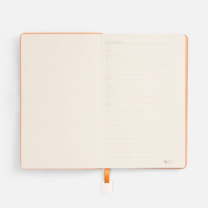 Ежедневник Shall Light, недатированный, оранжевый