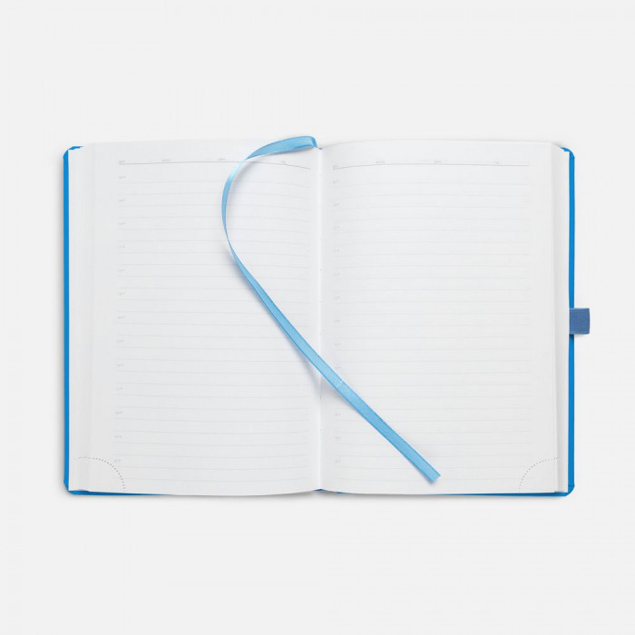 Ежедневник Favor, недатированный, голубой