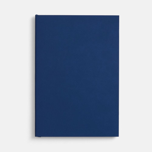 Ежедневник Flat, недатированный, синий, ver.2