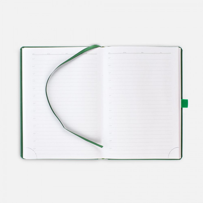 Ежедневник Favor Gold, недатированный, ярко-зеленый