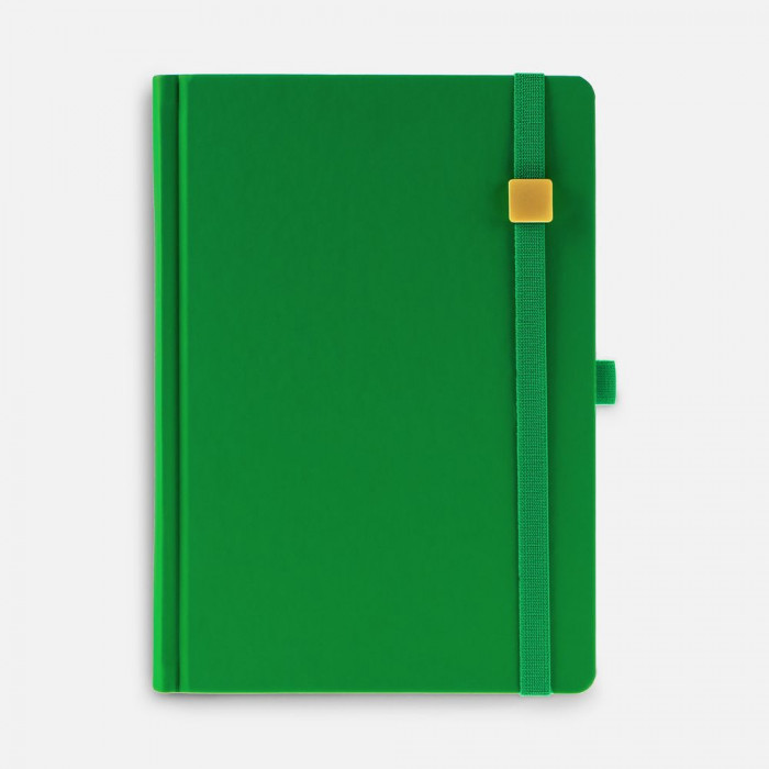 Ежедневник Favor Gold, недатированный, ярко-зеленый