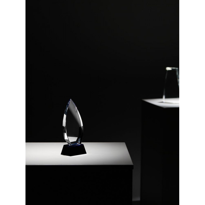 Награда Droplet