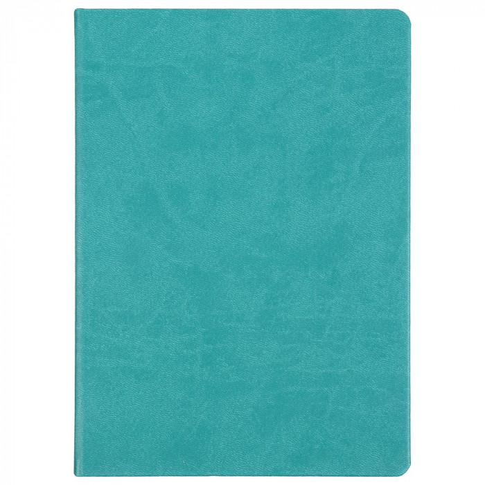 Ежедневник Basis, датированный, бирюзовый