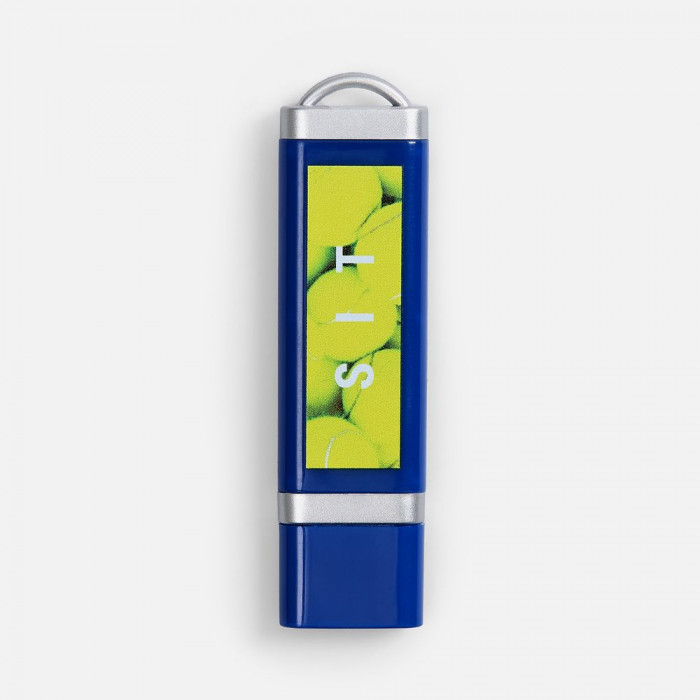 Флешка Profit, 8 Гб, синяя