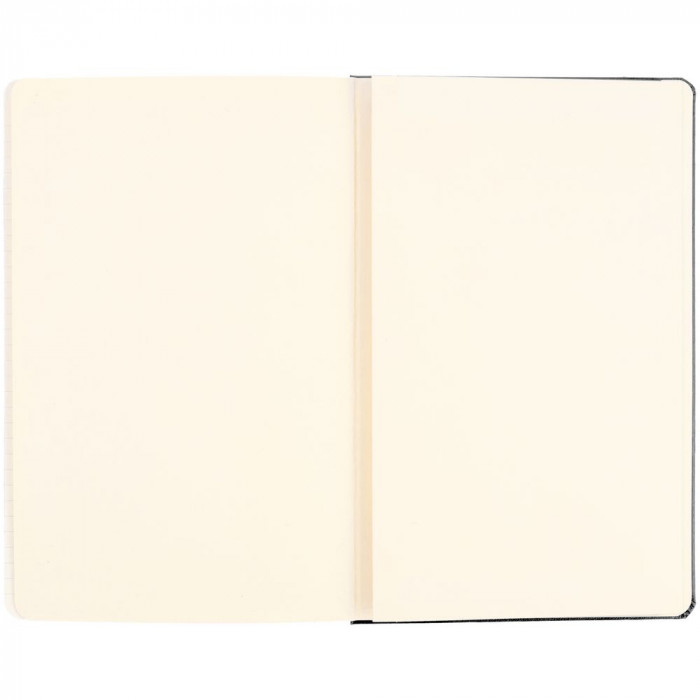 Записная книжка Moleskine Classic Large, без линовки, черная