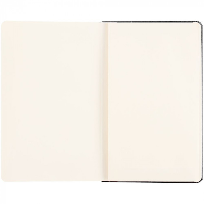 Записная книжка Moleskine Professional Large, черная