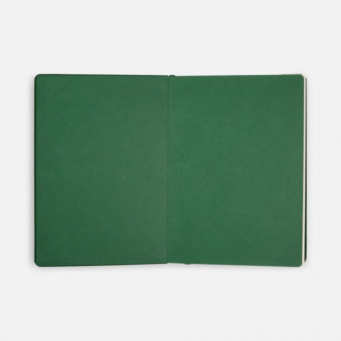 Ежедневник Shall, недатированный, зеленый