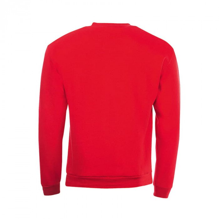 Толстовка мужская SPIDER, красный, 3XL, 50% хлопок, 50% полиэстер, 260 г/м2