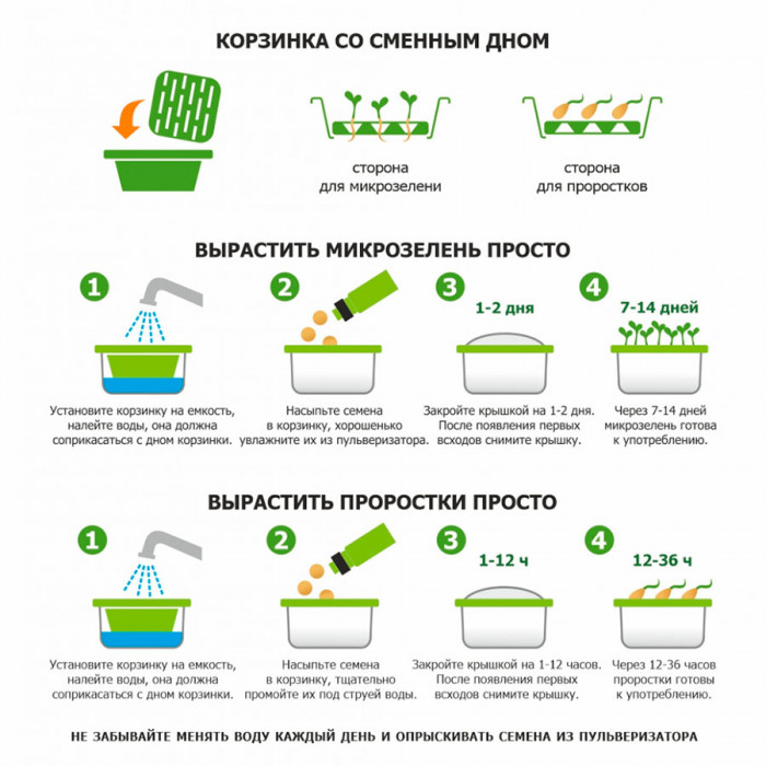 Подарочный набор для проращивания микрозелени: проращиватель, семена микс Подарочный набор для проращивания микрозелени: проращиватель, семена микс