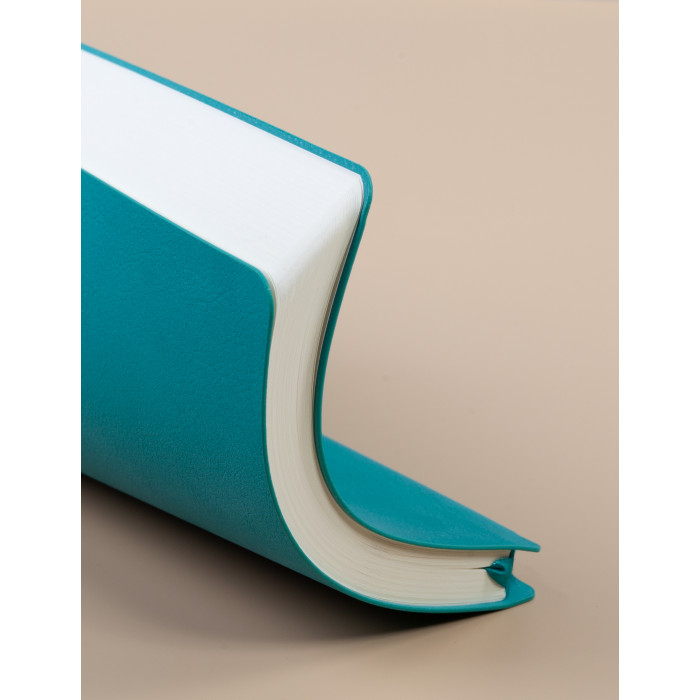 Сумка-рюкзак "Carry"