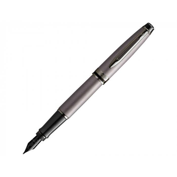 Перьевая ручка Waterman Expert Silver F BLK в подарочной упаковке