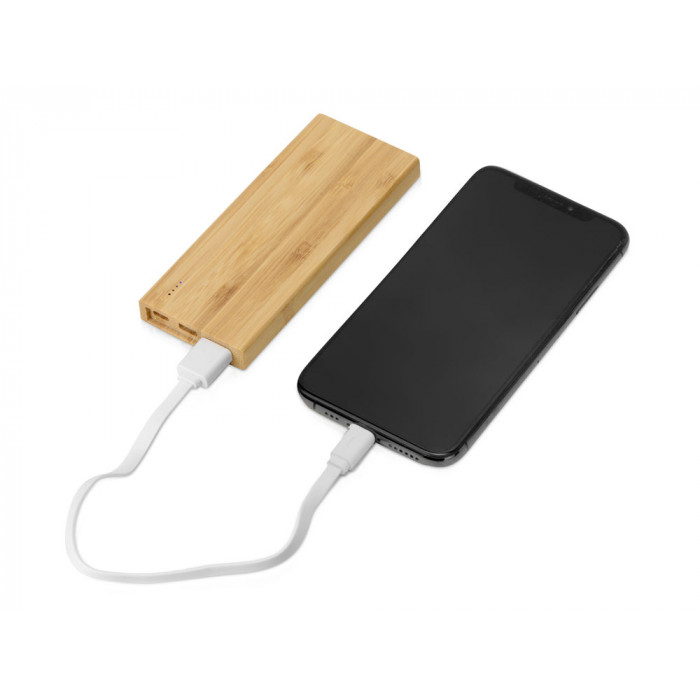 Внешний аккумулятор из бамбука Bamboo, 5000 mAh Внешний аккумулятор из бамбука Bamboo, 5000 mAh