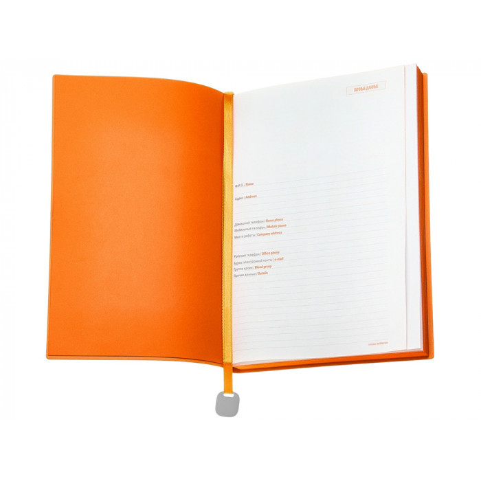 Ежедневник А5 недатированный Mercury, черный