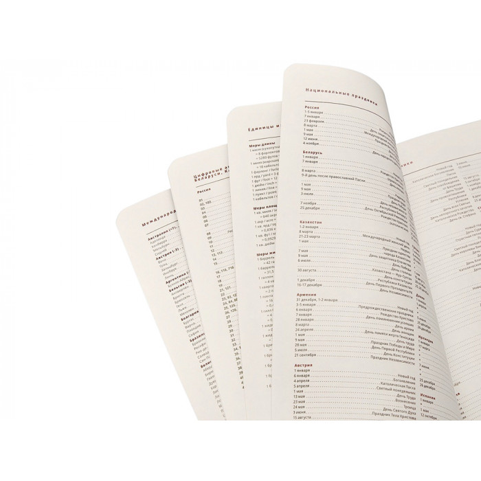 Ежедневник недатированный А5 Parliament, темно-серый