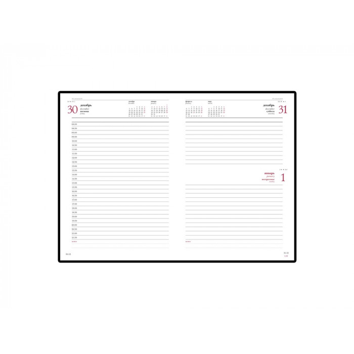 Ежедневник датированный А5 Ideal New 2026, красный