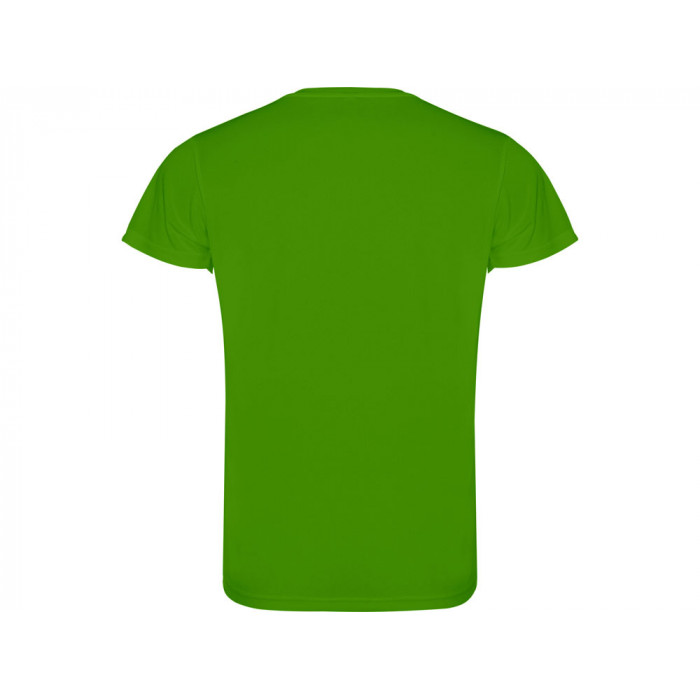 Футболка Camimera мужская, папаратниковый