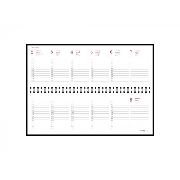 Планинг датированный Velvet 2026, синий