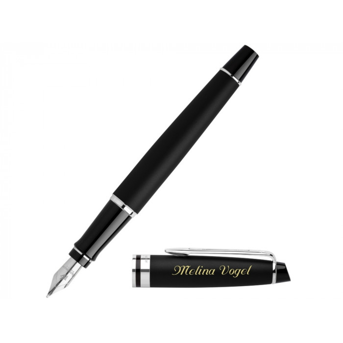 Перьевая ручка Waterman Expert 3, цвет: Matte Black CT, перо: F