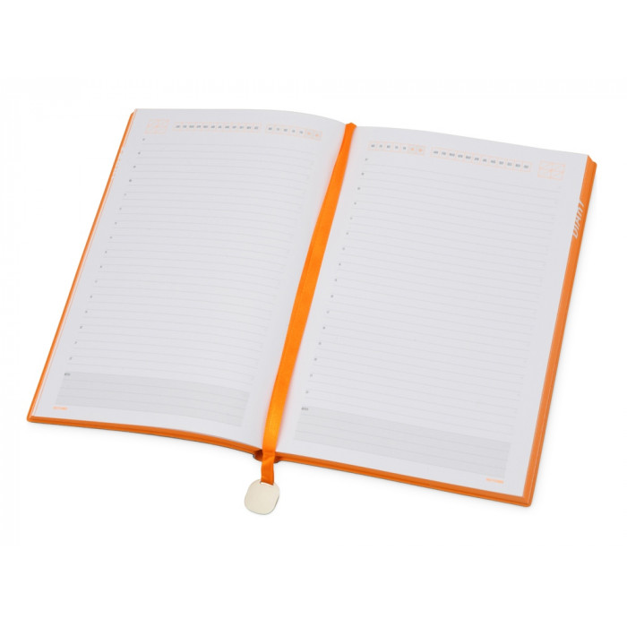 Ежедневник А5 недатированный Mercury, черный