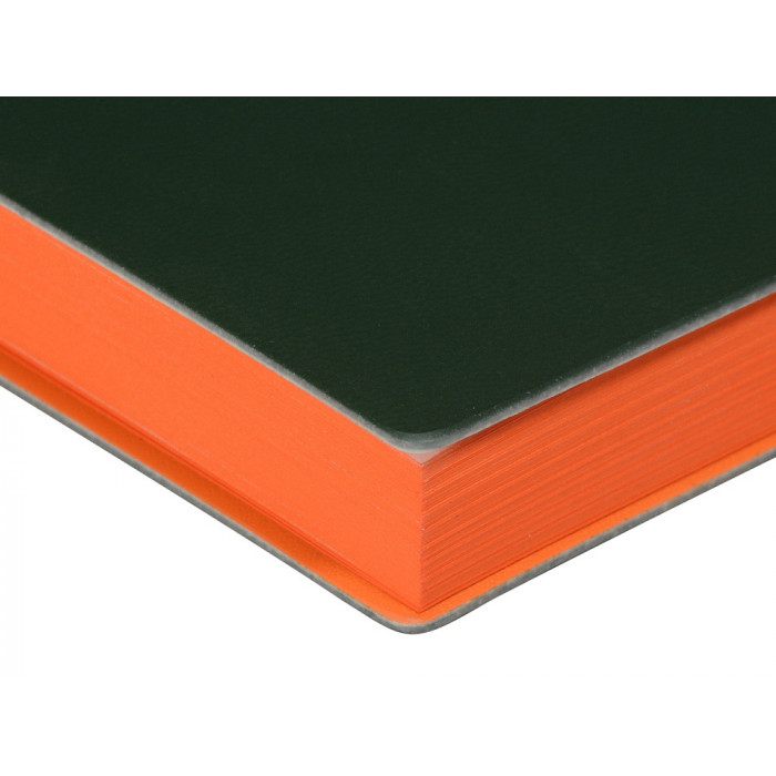 Ежедневник А5 недатированный Mercury, зеленый