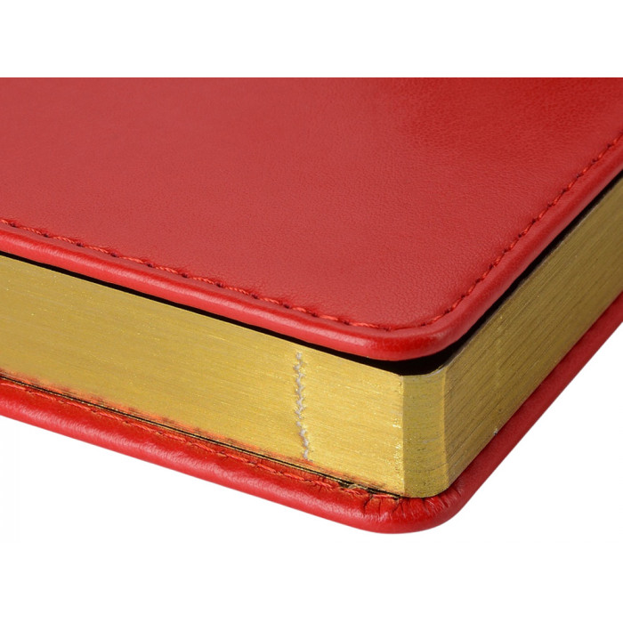 Ежедневник недатированный А5 Parliament, красный