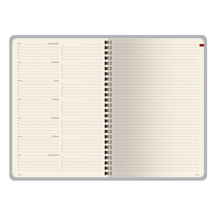 Еженедельник недатированный А5 Concept, серый