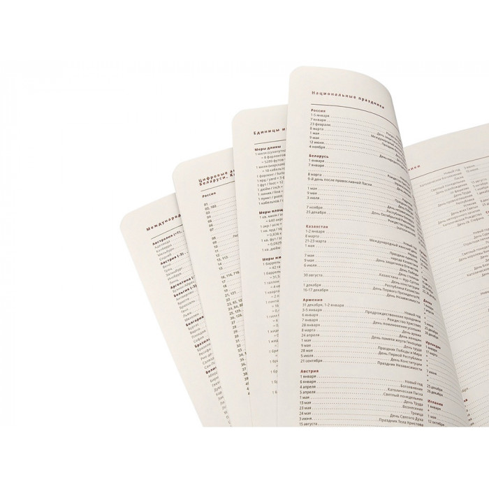 Ежедневник недатированный А5 Parliament, бордовый