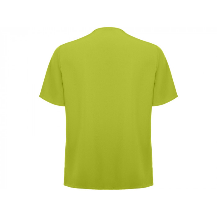 Рубашка мужская Ferox, фисташковый