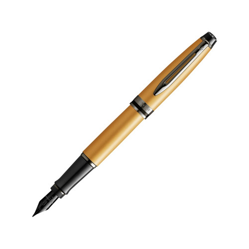 Перьевая ручка Waterman Expert GoldF BLK в подарочной упаковке