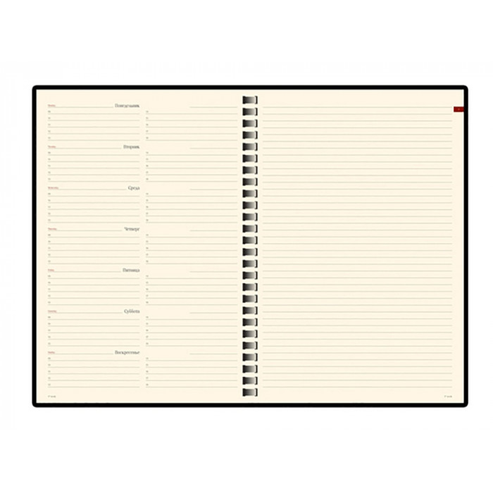 Еженедельник недатированный А5 Concept, зеленый