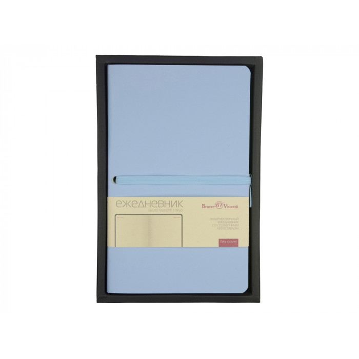 Ежедневник недатированный А5 Tokyo, голубой