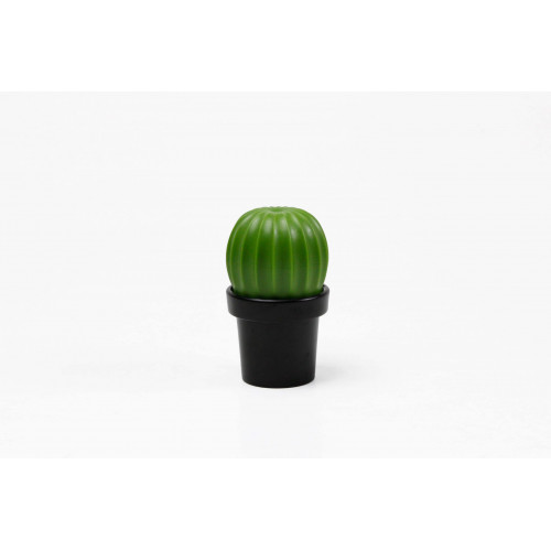 МЕЛЬНИЦА ДЛЯ СПЕЦИЙ Tasty Cactus