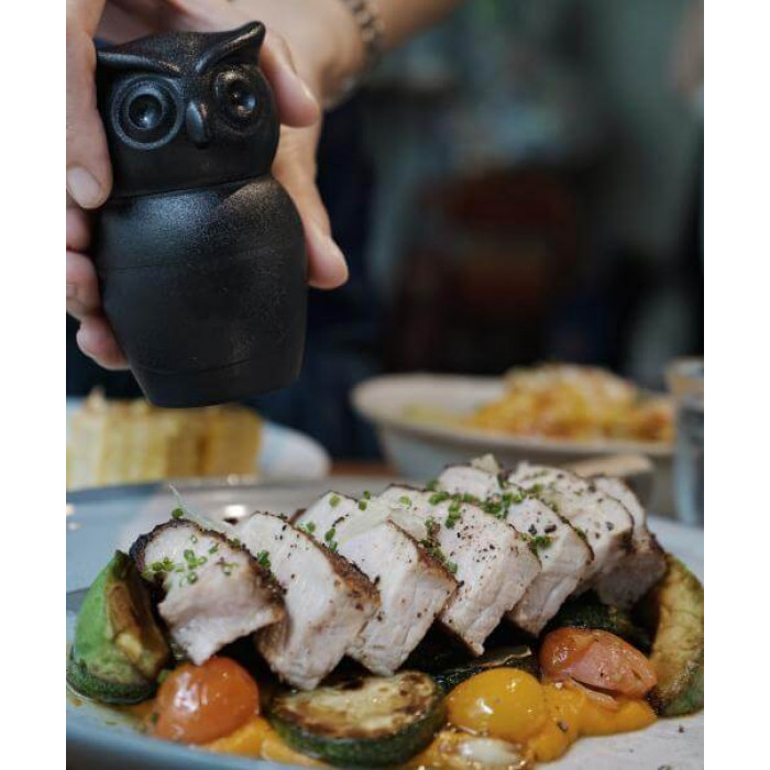 МЕЛЬНИЦА ДЛЯ СПЕЦИЙ Tasty Owl, чёрная