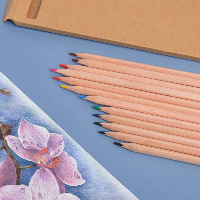 Цветные карандаши KINDERLINE middle,12 цветов, дерево, картон
