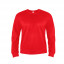 Толстовка мужская ANTARES, красный, 3XL, 50% хлопок, 50% полиэстер, 260 г/м2