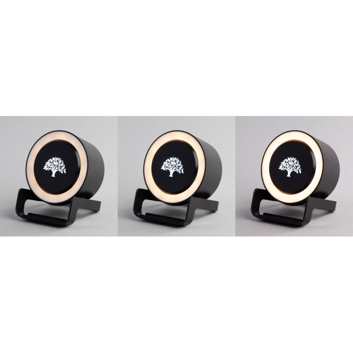 Bluetooth колонка-подставка Smart Loud с беспроводным (10W) зарядным устройством, лампой и подсветкой логотипа