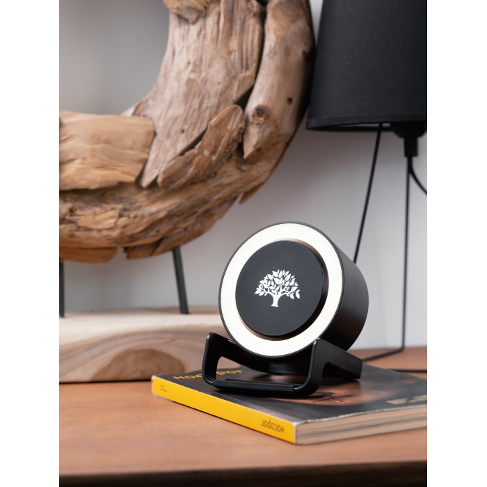 Bluetooth колонка-подставка Smart Loud с беспроводным (10W) зарядным устройством, лампой и подсветкой логотипа