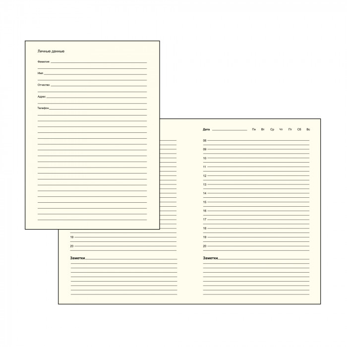 Ежедневник недатированный Око А5 с металлическим шильдом