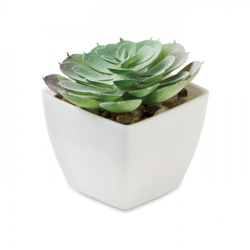 Растение искусственное