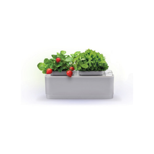 Компактный смарт-сад iGarden Компактный смарт-сад iGarden