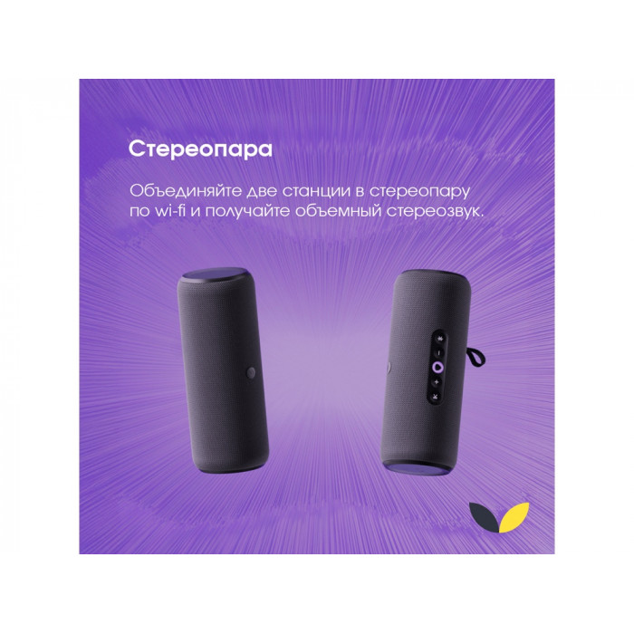 Умная портативная колонка Яндекс Станция Стрит с Алисой, черный (YNDX-00030BLK)