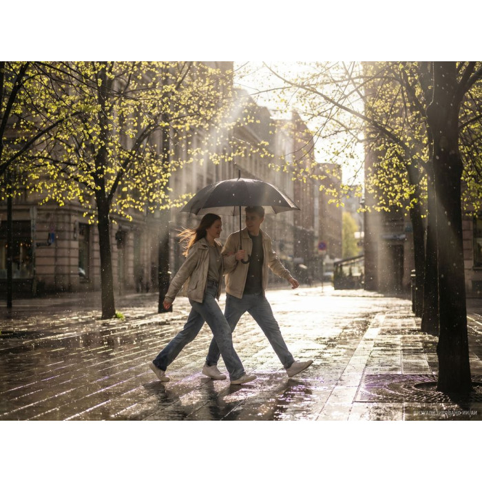 Зонт-трость Sombrella, черный