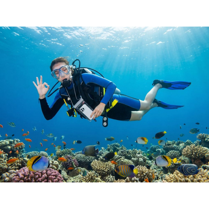 Водонепроницаемый чехол для телефона Aqualock, серый