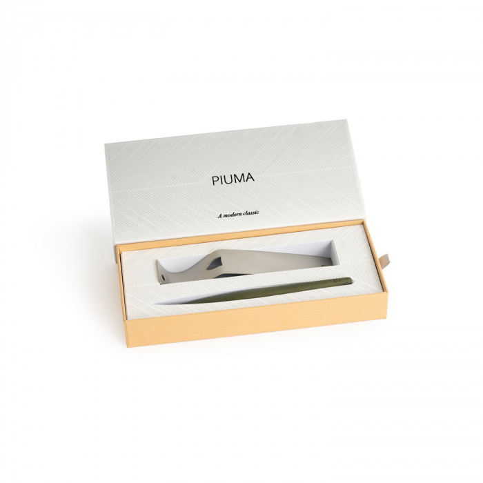 Вечная ручка Pininfarina Piuma A MODERN CLASSIC SAGE GREEN